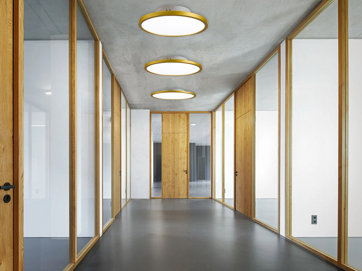 צמוד תקרה מרחף עזי לד Φ30| Φ40 | Φ60| שחור| פליז| לבן| CCT