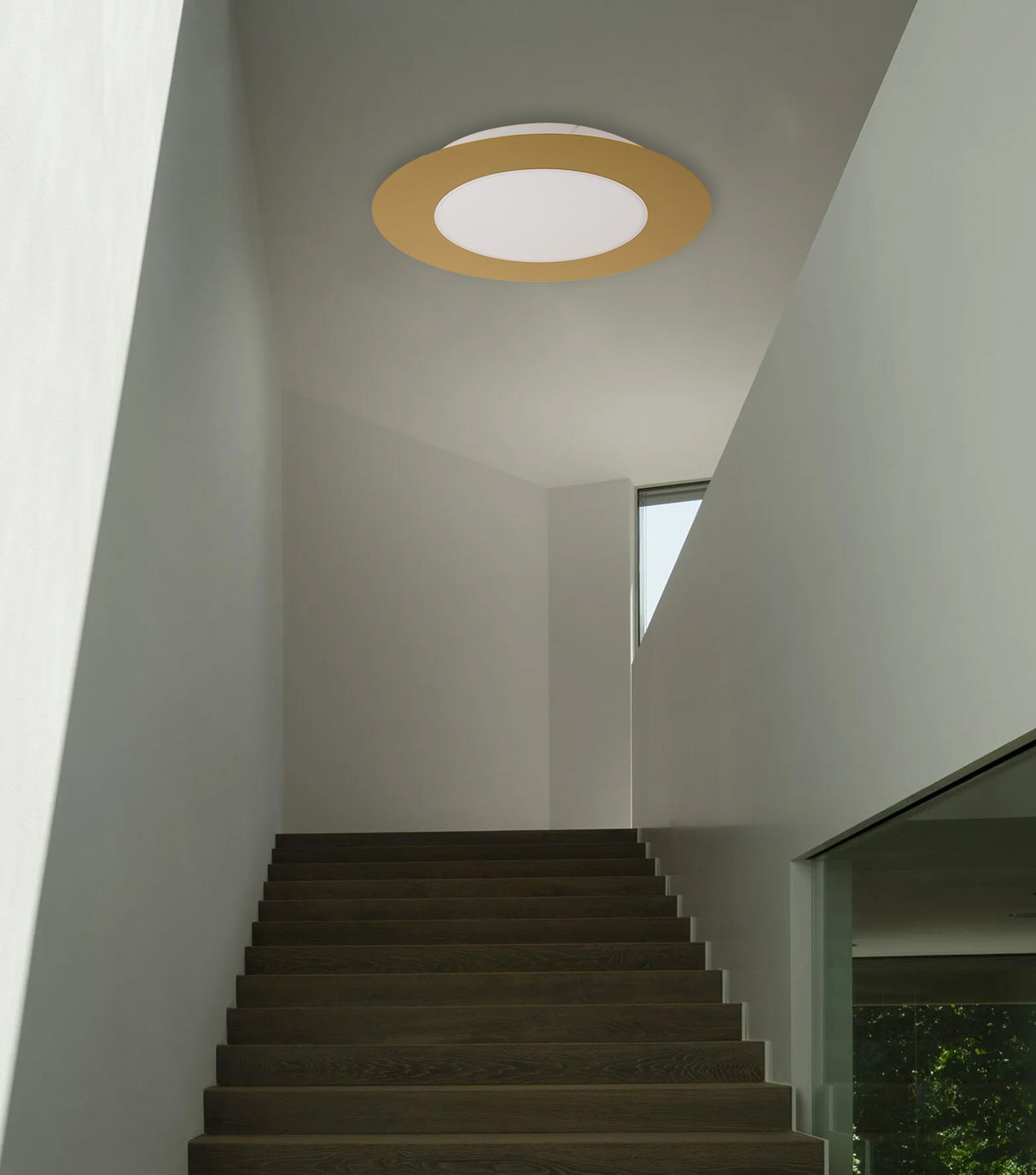 צמוד תקרה טומי פליז | Φ63| Φ90| Φ120 CM