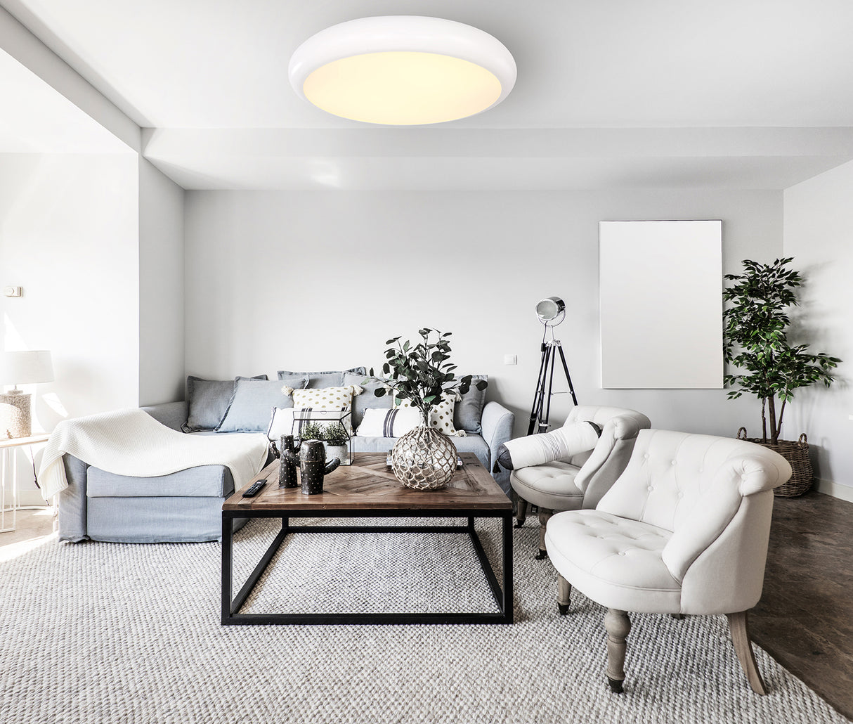 צמוד תקרה אסינאת+שלט | לבן| Φ40| Φ60| Φ80| CCT