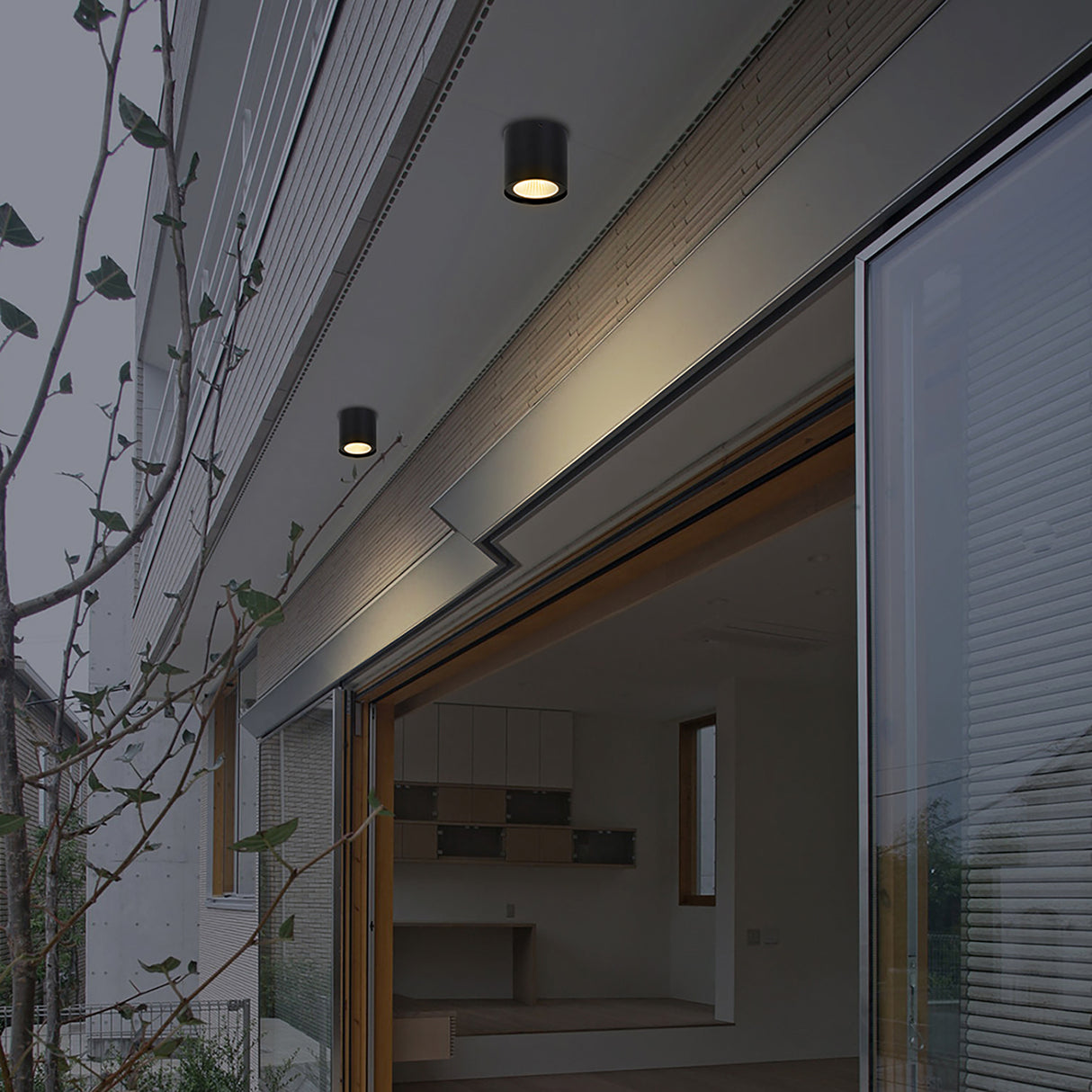 צמוד תקרה צילינדר חוץ מוגן מים ג'ונאס 12W|שחור| לבן