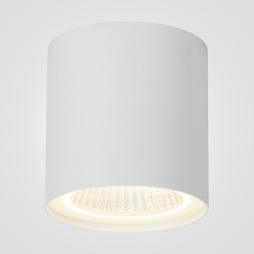 צמוד תקרה צילינדר חוץ מוגן מים ג'ונאס 12W|שחור| לבן