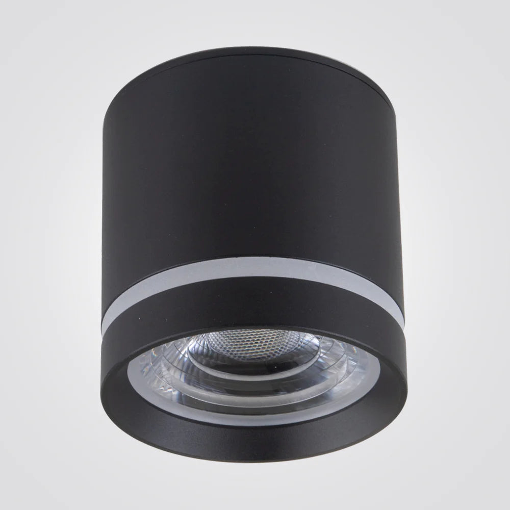 צלינדר תקרה חנין PAR30