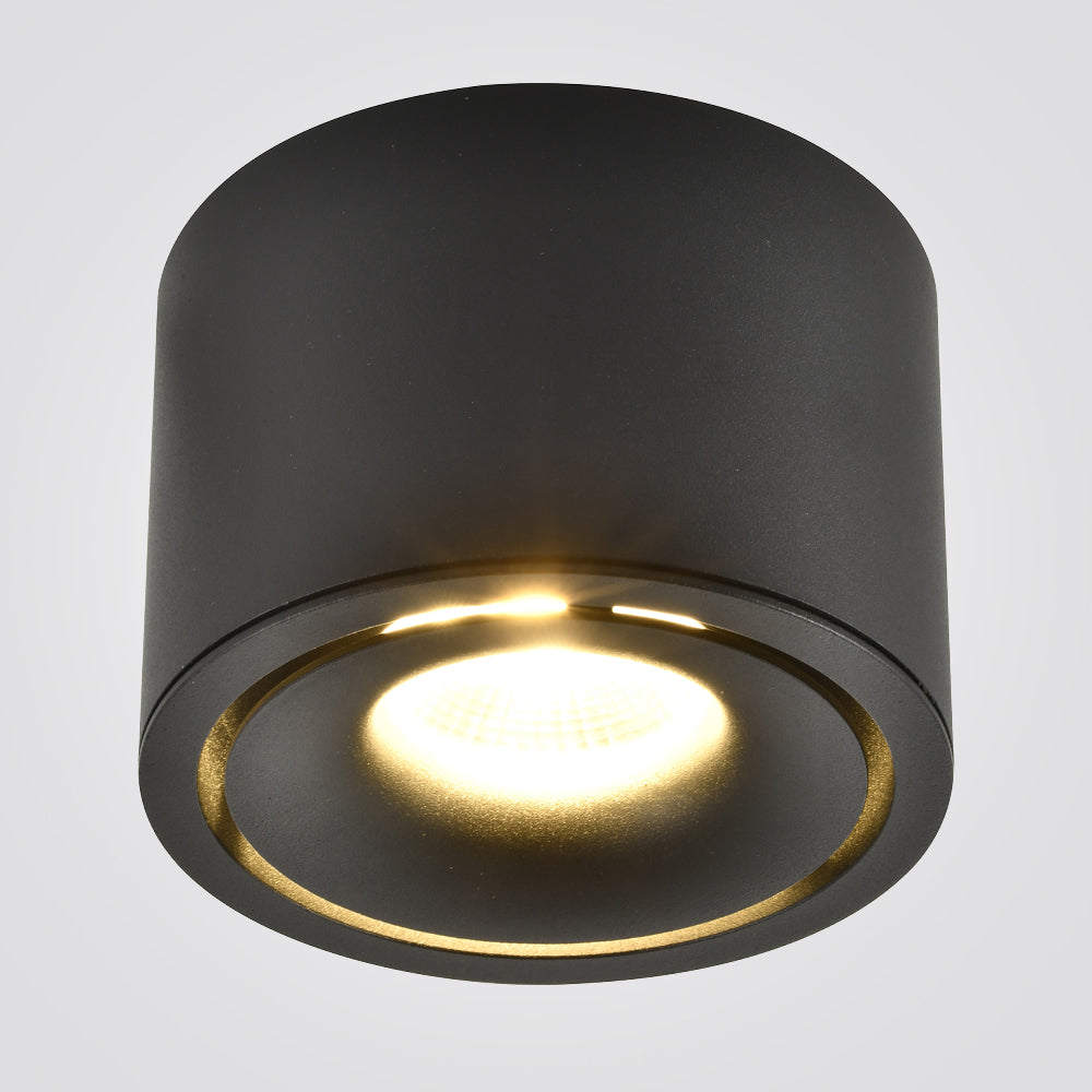 צילנדר ריאן 12W שחור|לבן