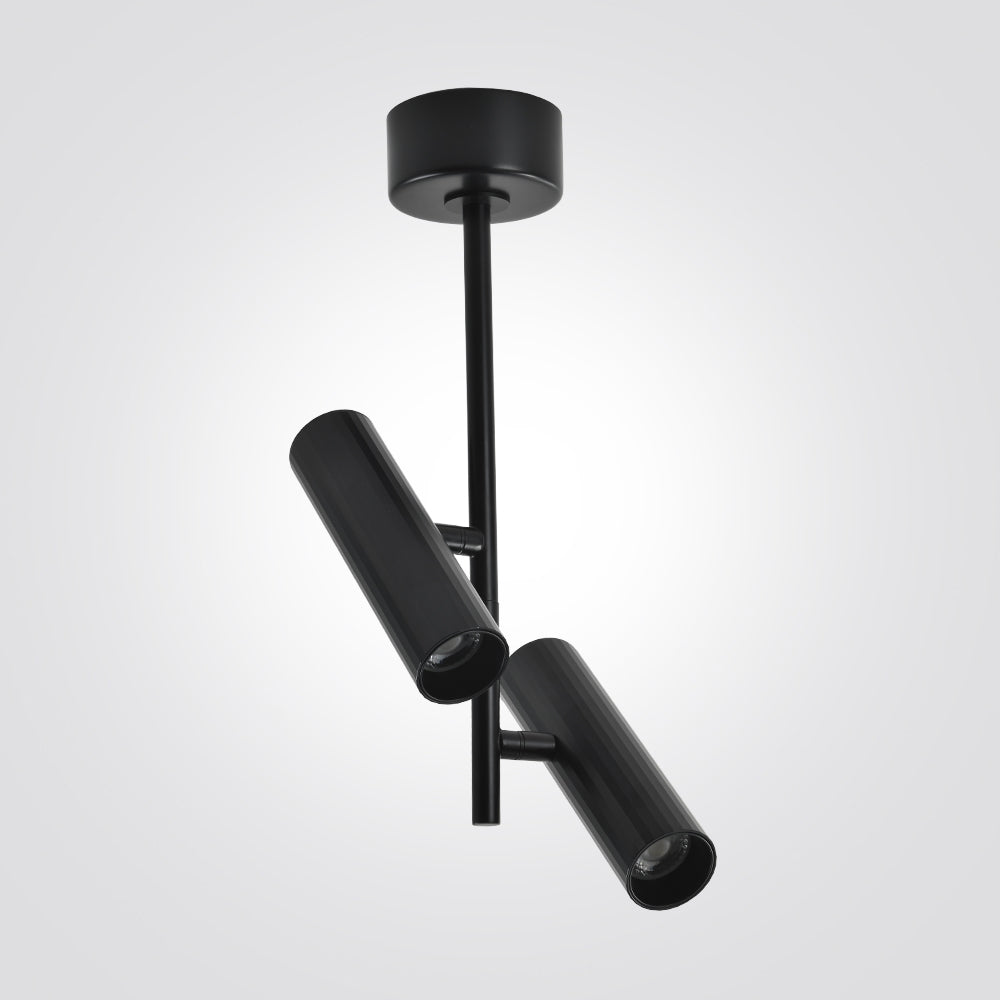 ספוט צילינדר מתכוונן סאקר| זוגי