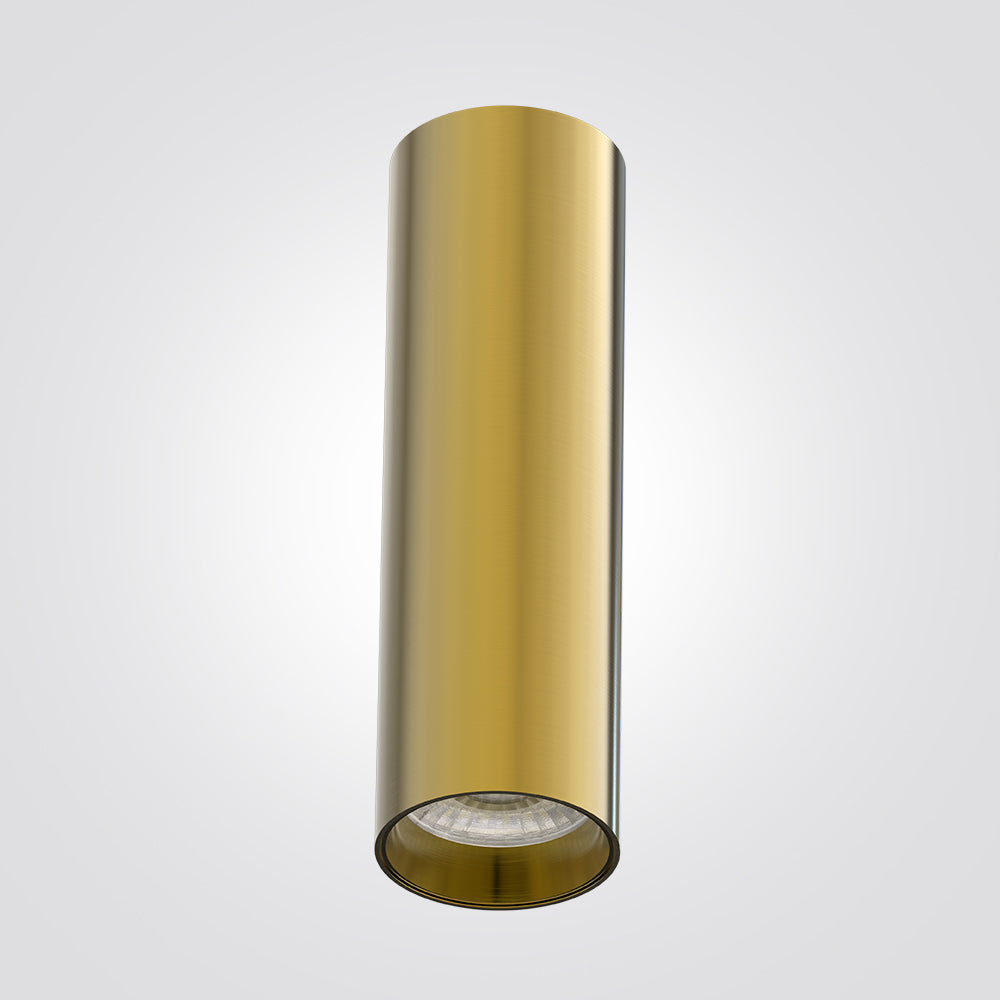 צילינדר תקרה ארדונה 10W|שחור|לבן| זהב