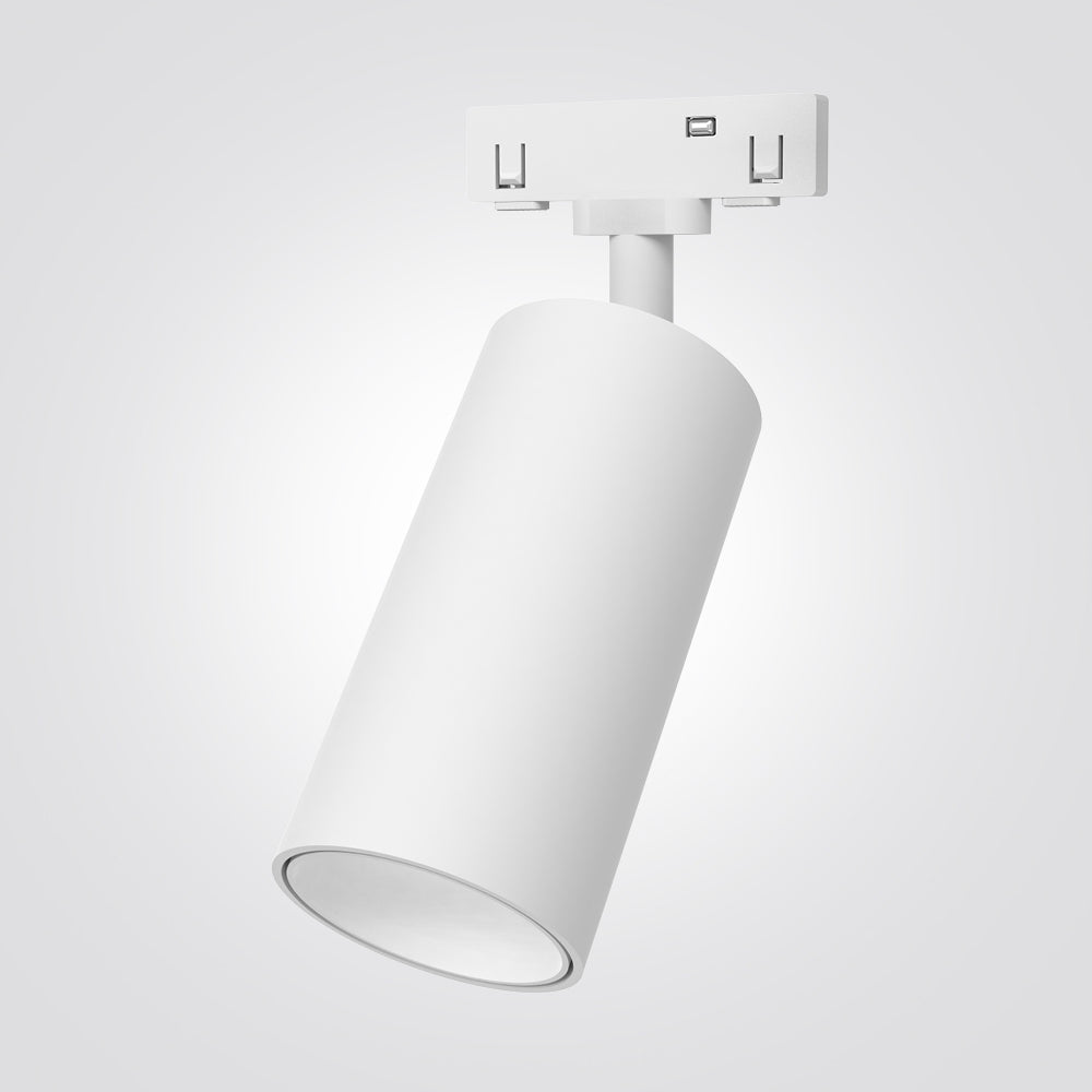 ג"ת למערכת מגנטית לייזר 24V שחור |לבן | 12W