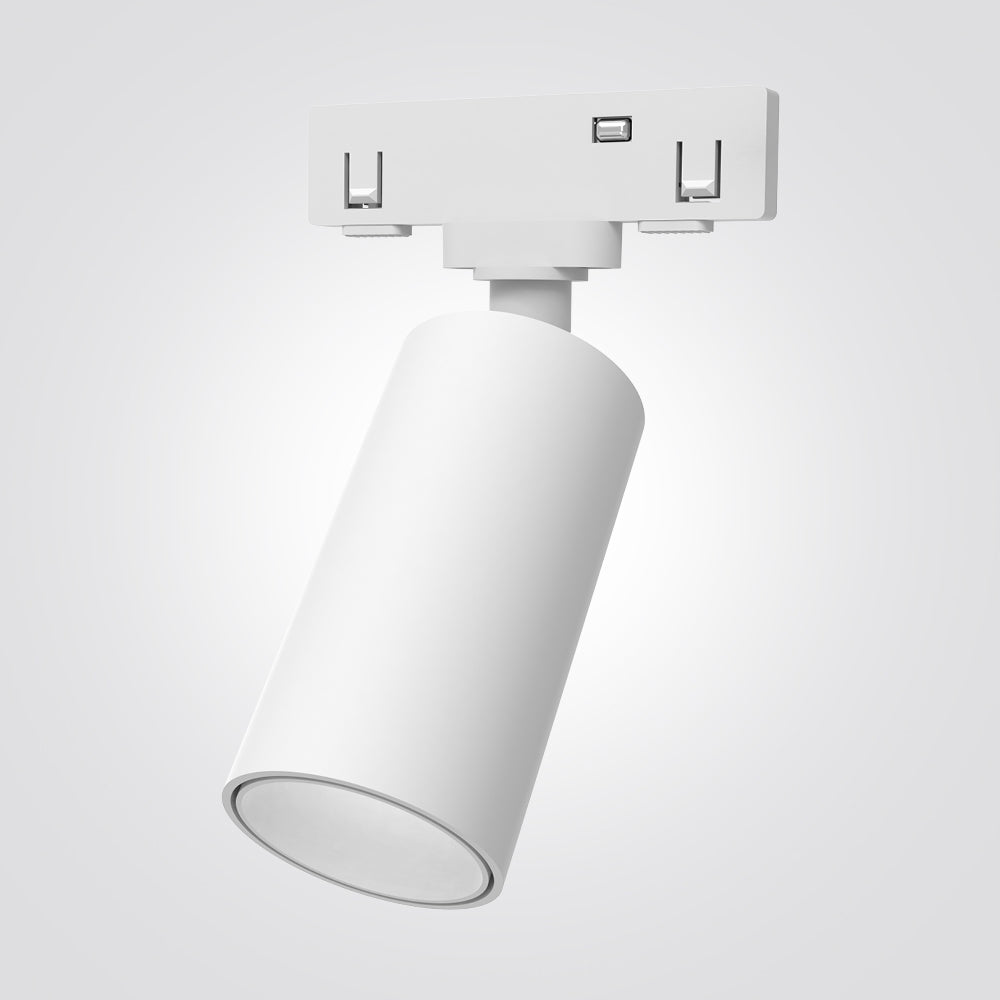 ג"ת למערכת מגנטית לייזר 24V שחור |לבן | 5W