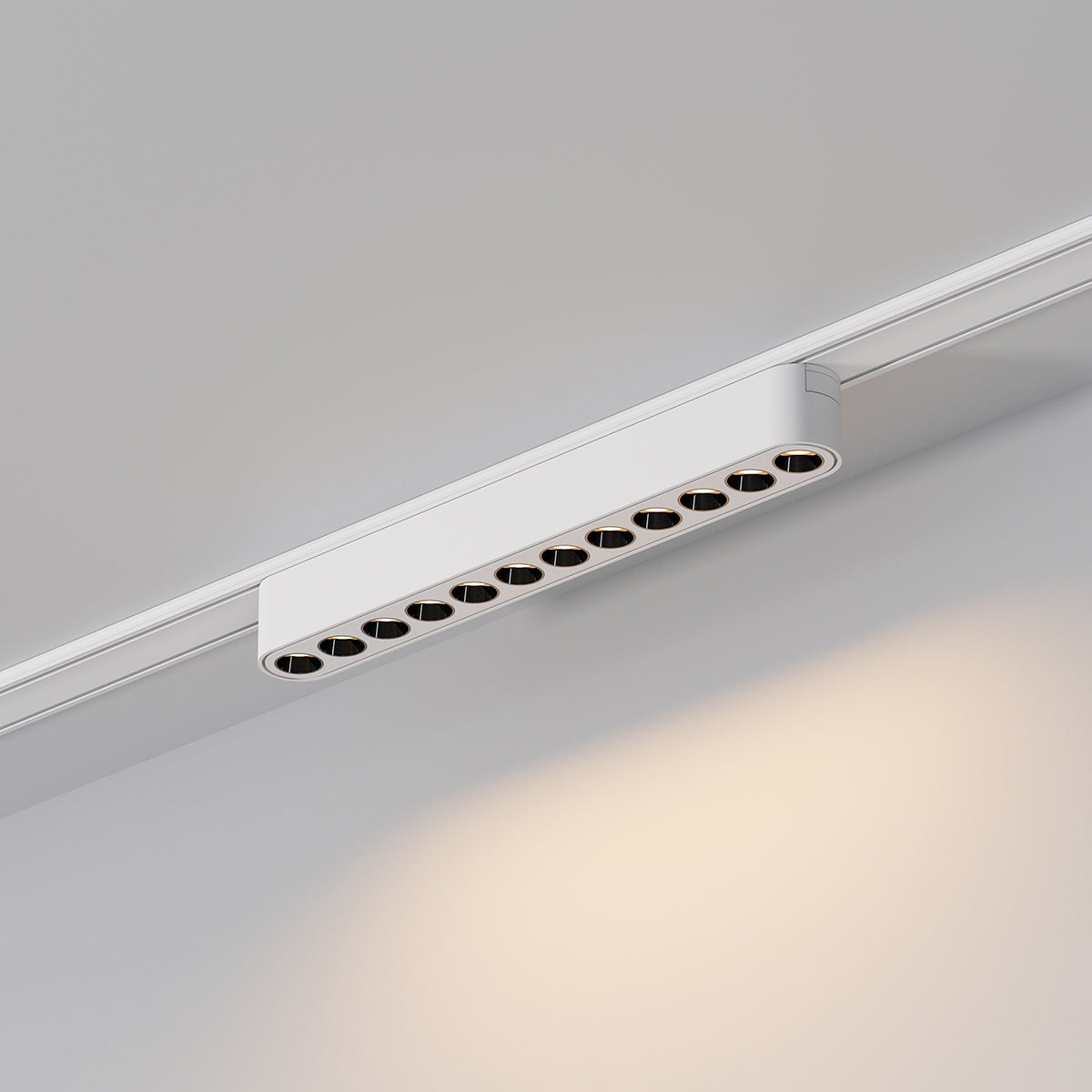 גוף תאורה עדשות למערכת תאורה מגנטית 12W| שחור| לבן| 48V