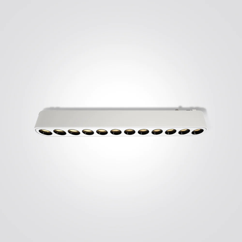 גוף תאורה עדשות למערכת תאורה מגנטית 16W| שחור| לבן| 48V