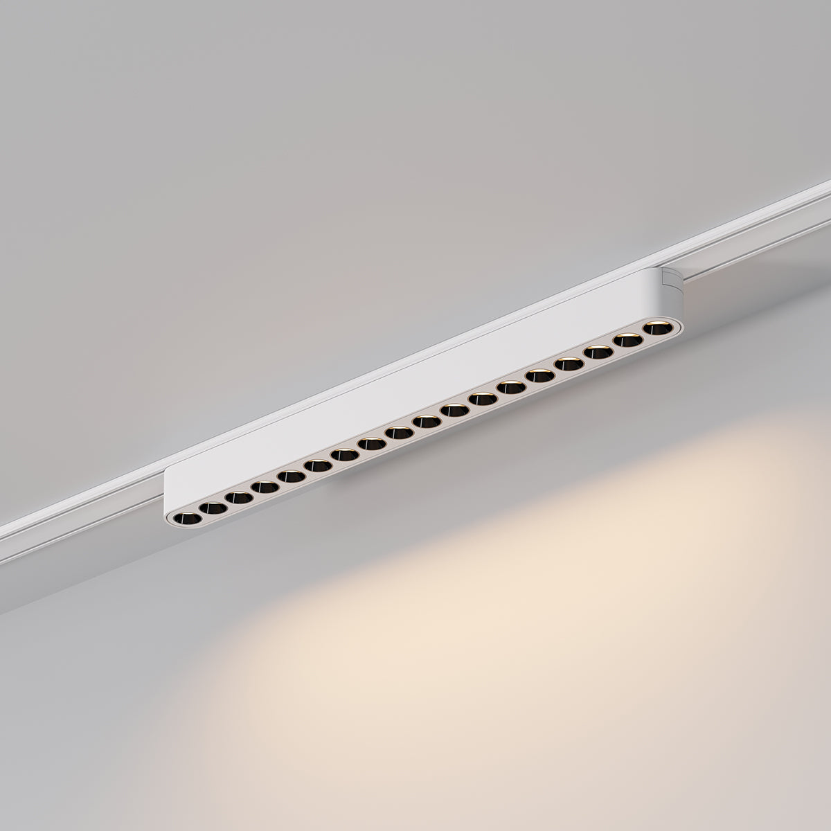 גוף תאורה עדשות למערכת תאורה מגנטית 16W| שחור| לבן| 48V