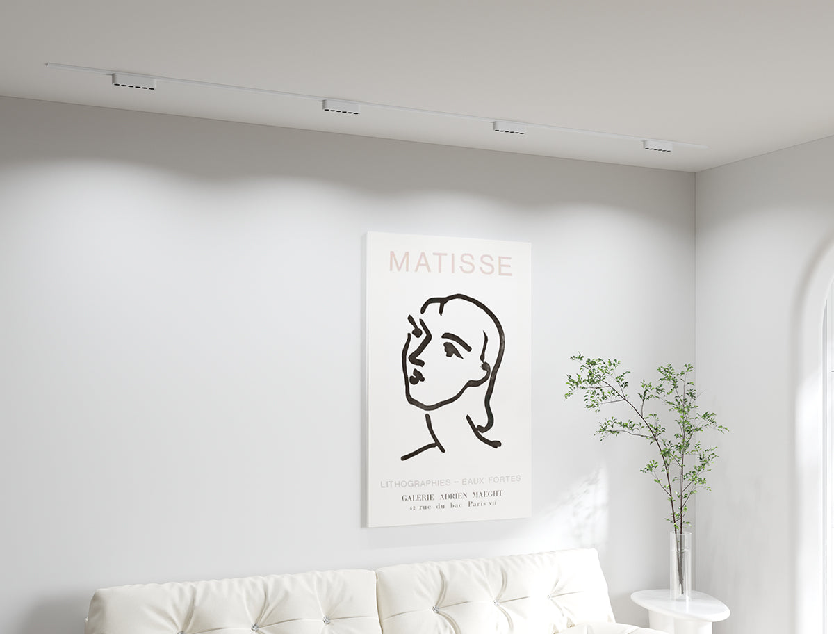 גוף תאורה עדשות למערכת תאורה מגנטית 12W| שחור| לבן| 48V