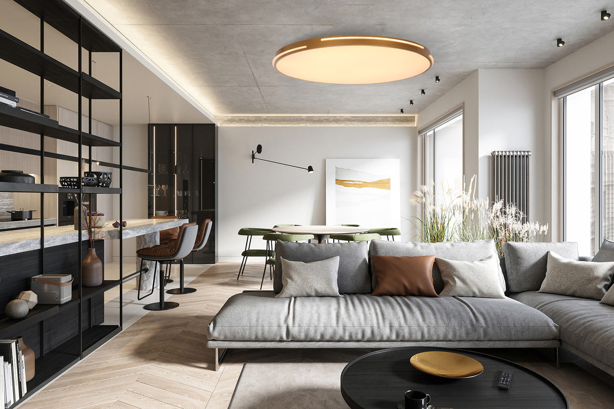 צמוד תקרה לון לד| פליז| Φ40| Φ60| Φ80