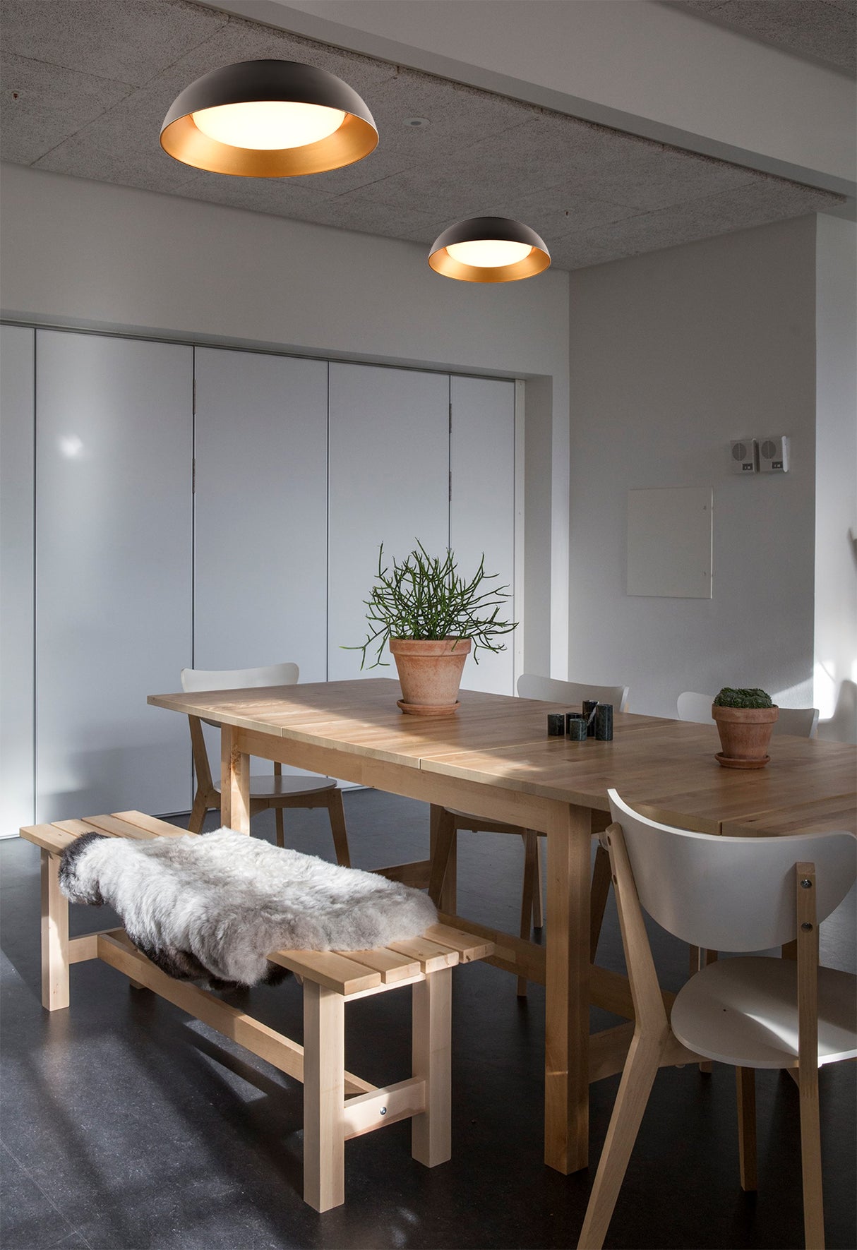 צמוד תקרה רמו לד| שחור+ זהב| Φ32| Φ50|