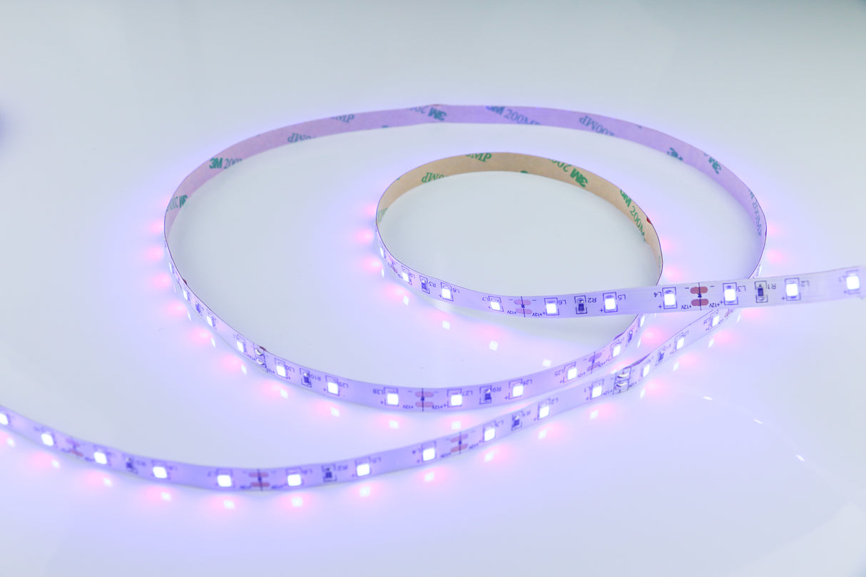 סרט לד 5 מטר | ירוק | אדום |כחול | -12V