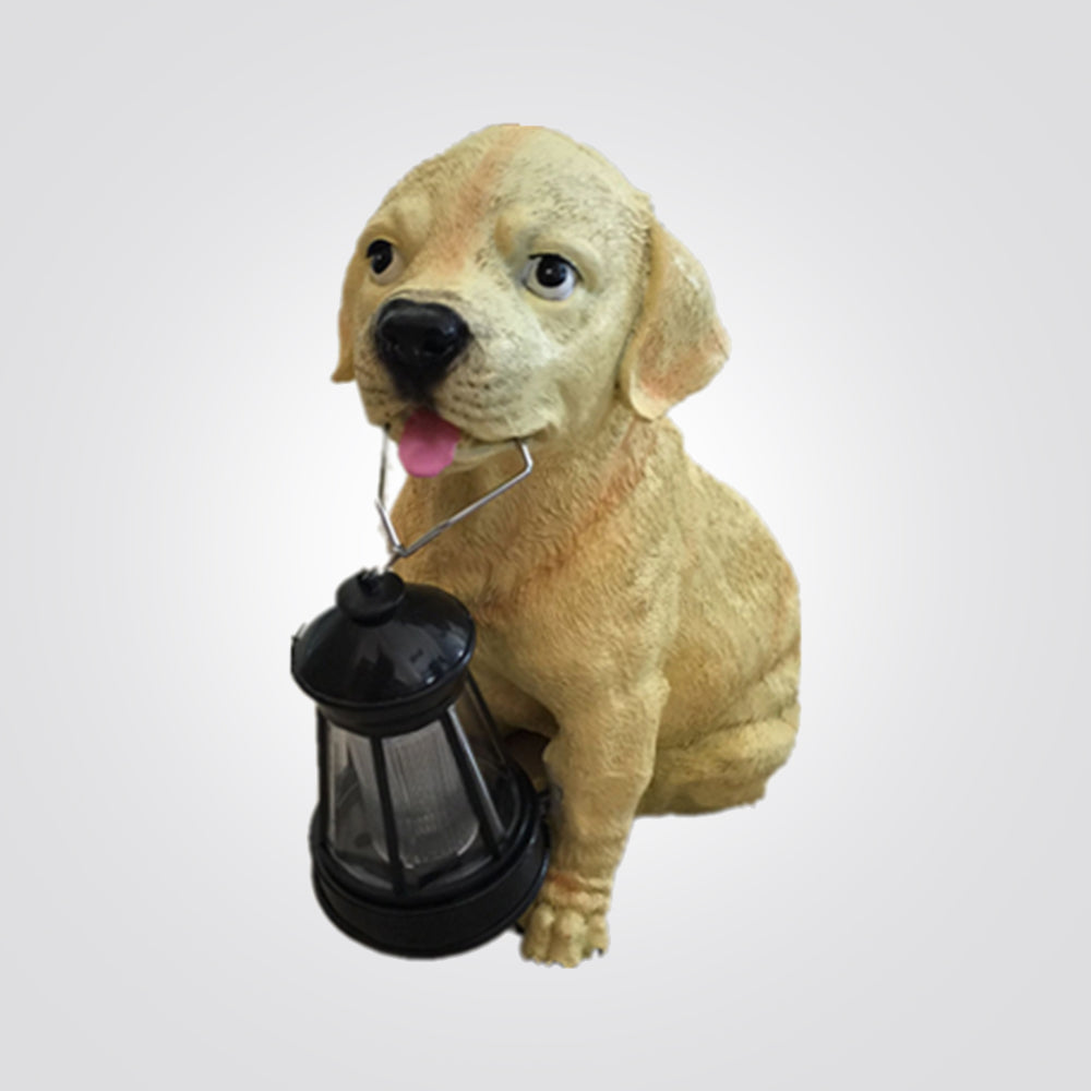 תאורה סולרית כלב 2