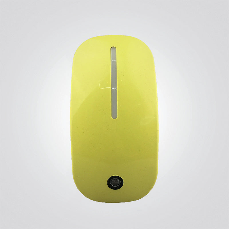 נורת לילה רותם