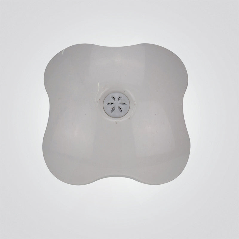 נורת לילה תמר