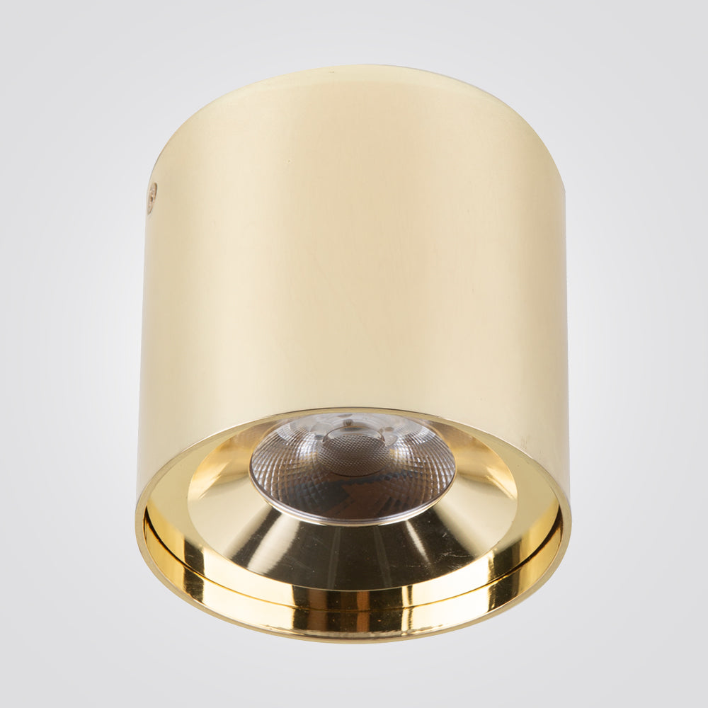 צלינדר תקרה מאיקו 10W| 20W| 30W פליז