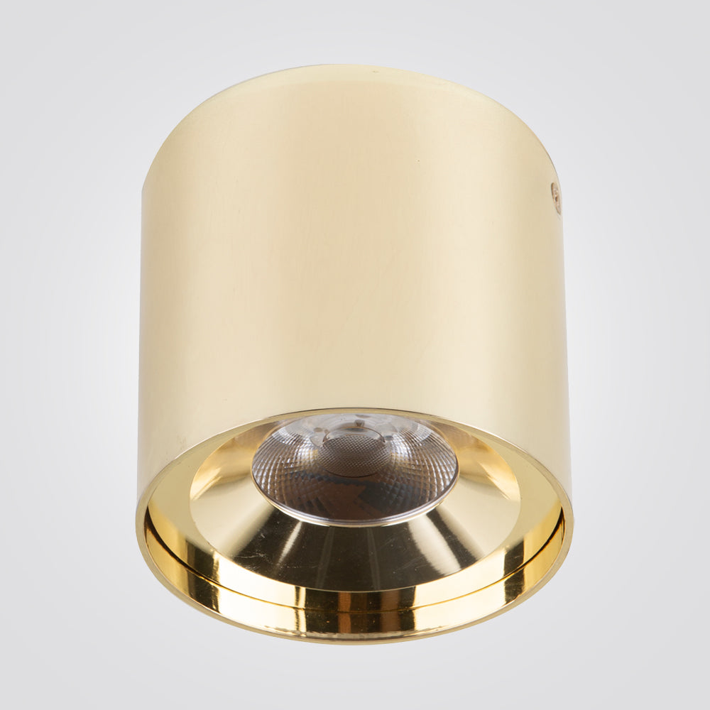 צלינדר תקרה מאיקו 10W| 20W| 30W פליז