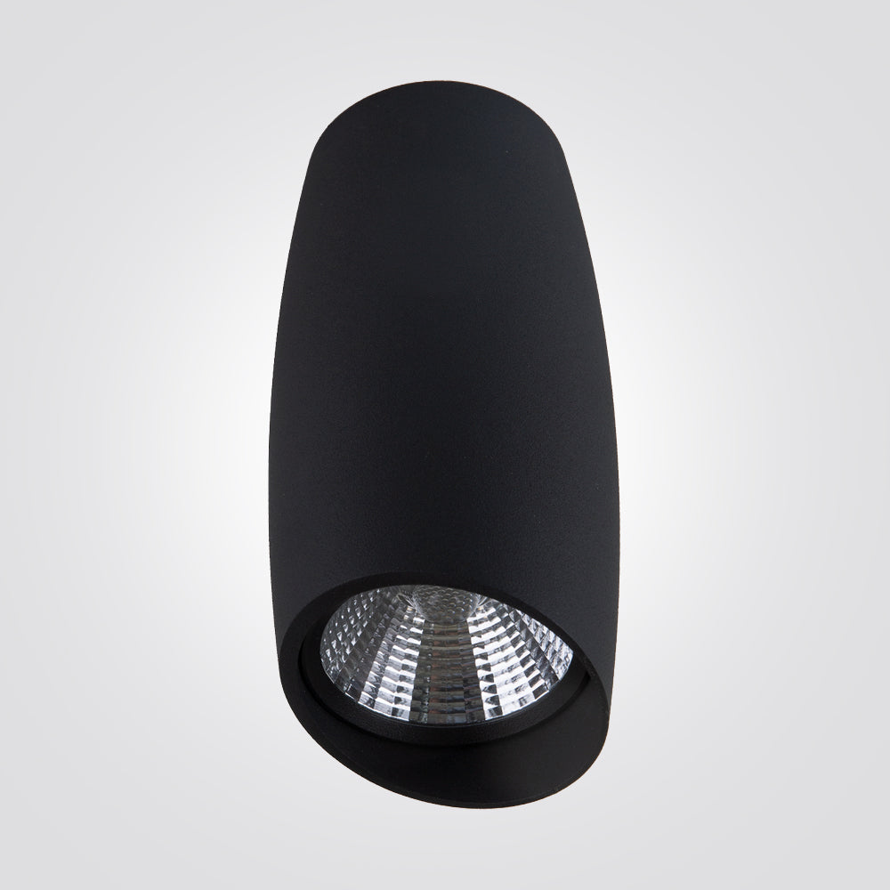 צלינדר תקרה מיאנמר 10W | שחור| CCT