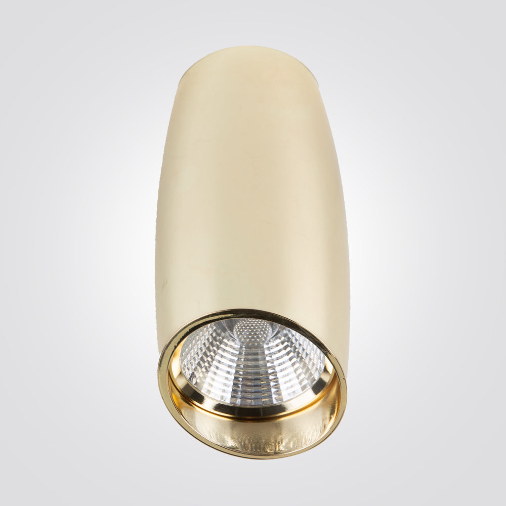 צלינדר תקרה מיאנמר 10W שחור| פליז| לבן