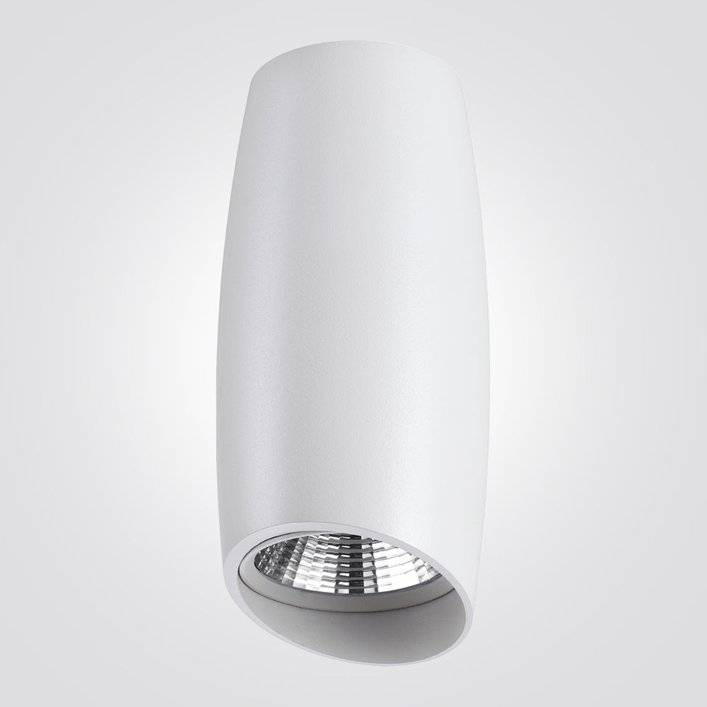 צלינדר תקרה מיאנמר 10W שחור| פליז| לבן