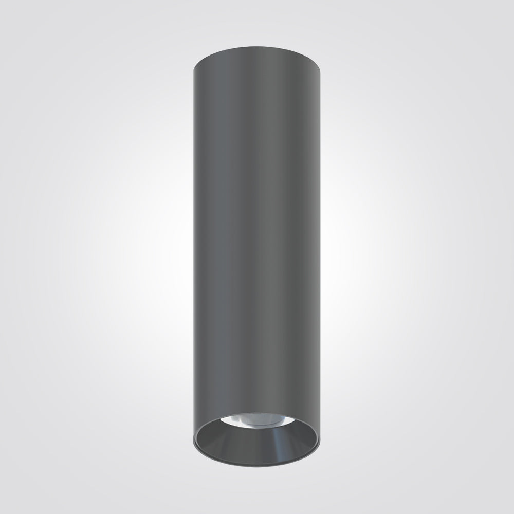 צילינדר תקרה ארדונה 25W| שחור|לבן| זהב