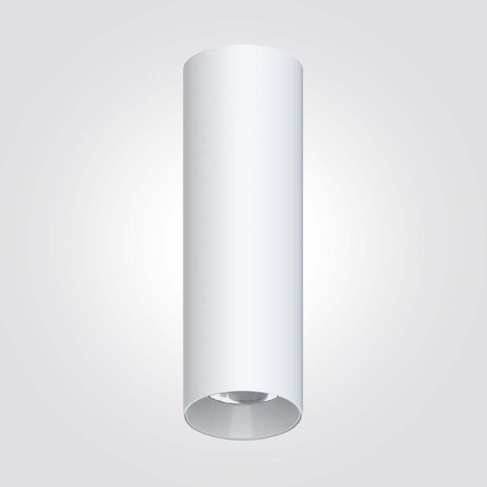 צילינדר תקרה ארדונה 10W|שחור|לבן| זהב