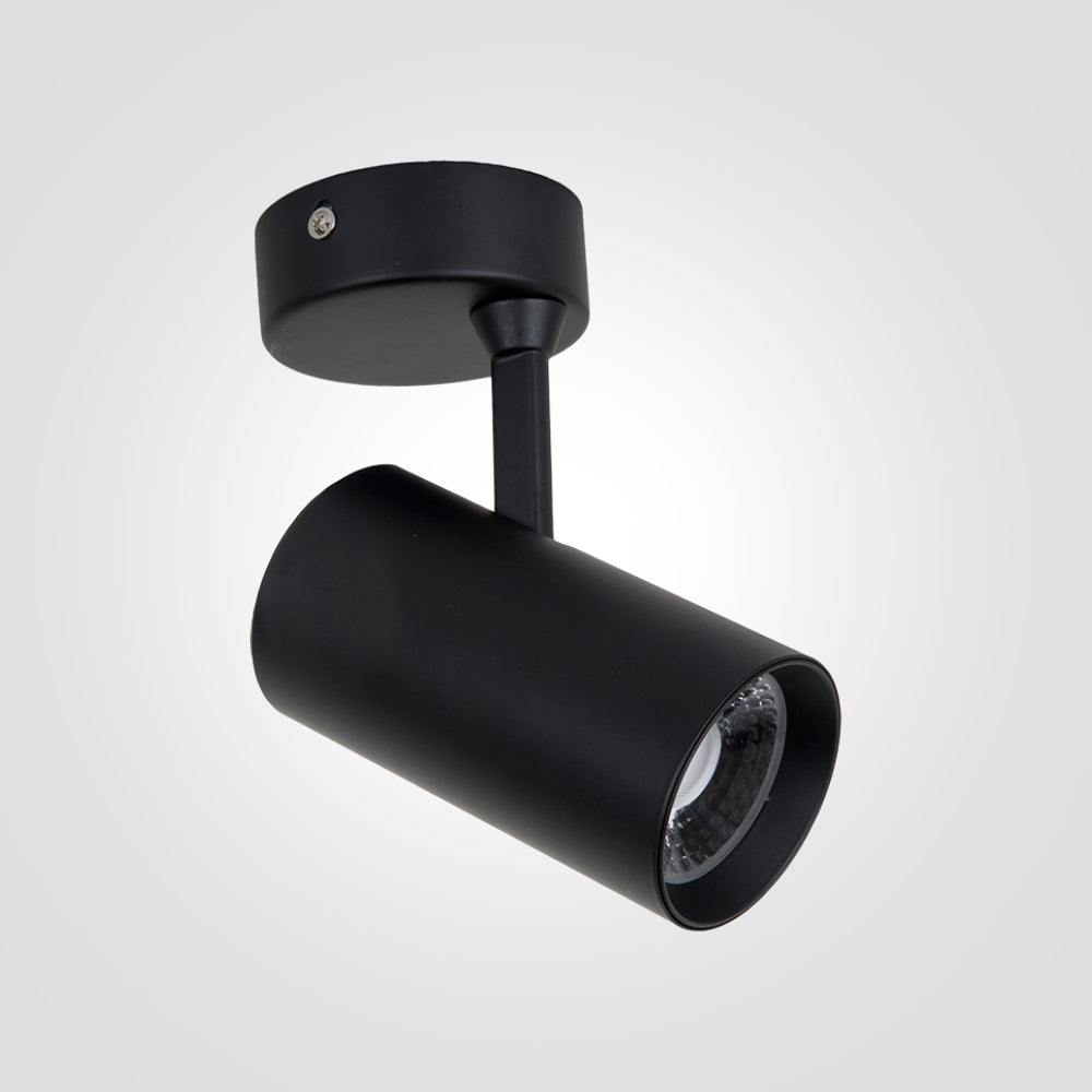 ספוט ספירות תקרה לד 10W