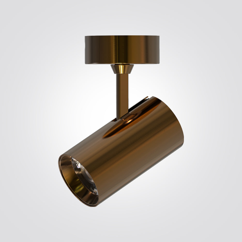 ספוט ספירות תקרה לד 10W