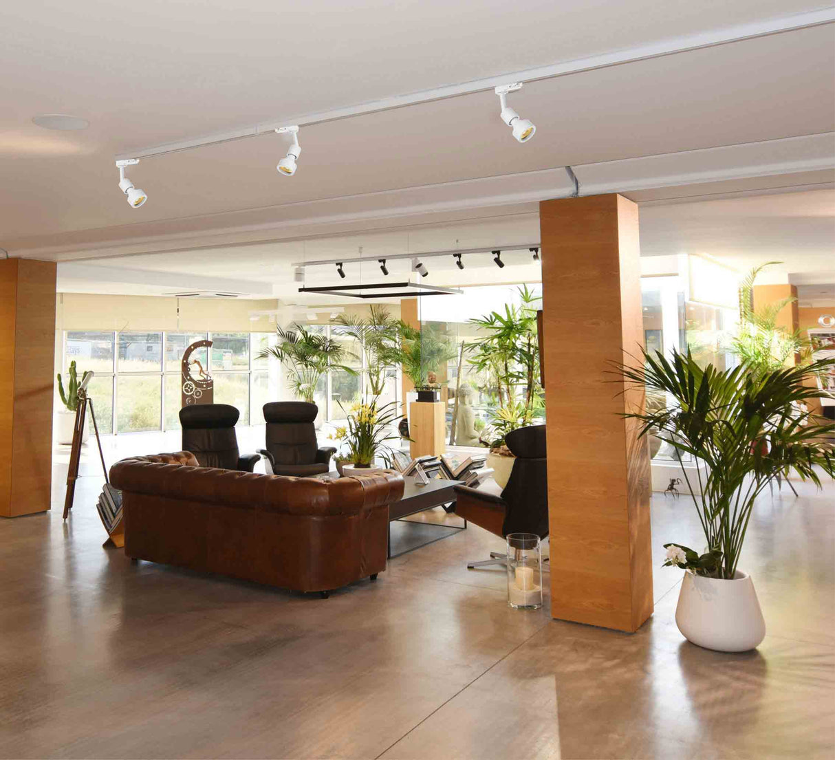 ספוט אביחי לפס צבירה שחור| לבן E27