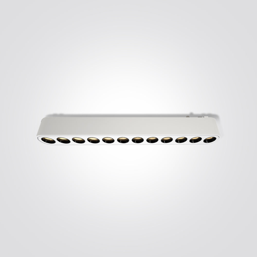 גוף תאורה עדשות למערכת תאורה מגנטית 12W| שחור| לבן| 48V