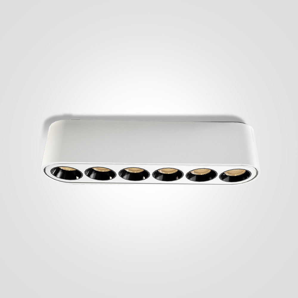 גוף תאורה עדשות למערכת תאורה מגנטית 6W| שחור| לבן| 48V