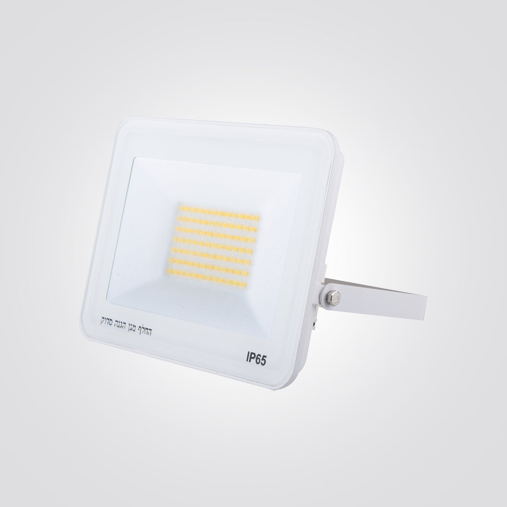 פנס הצפה לד פלורידה כולל זכוכית למניעת סינוור 50W| IP65| שחור| לבן