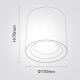 צילינדר תקרה וינה – ‎25W / ‎40W | CCT | לבן / שחור